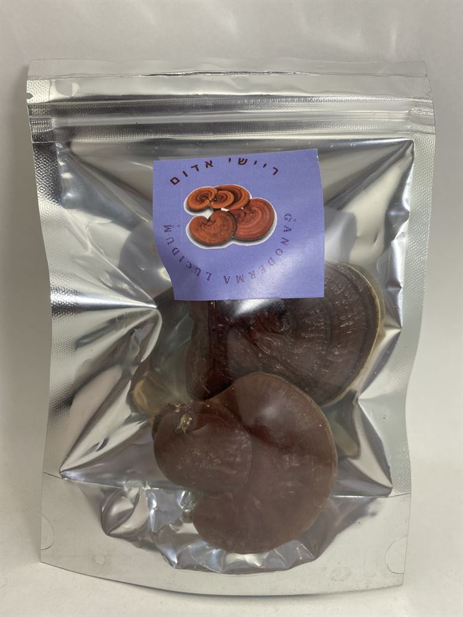 פטריית ריישי אדומה